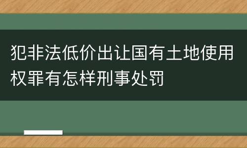 犯非法低价出让国有土地使用权罪有怎样刑事处罚