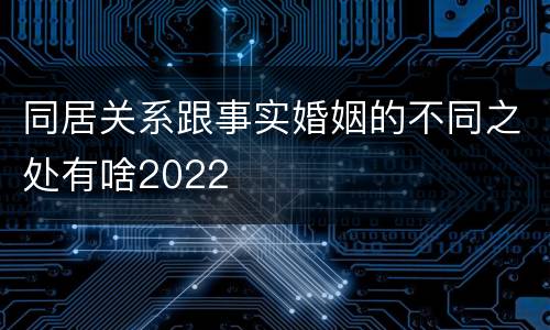 同居关系跟事实婚姻的不同之处有啥2022