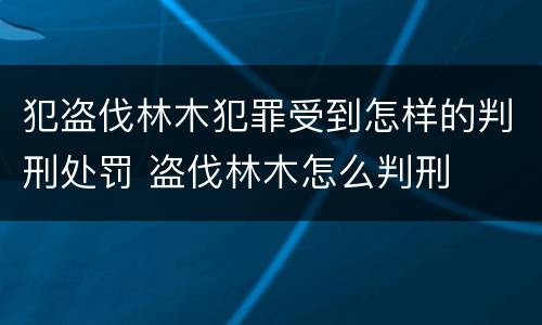 犯盗伐林木犯罪受到怎样的判刑处罚 盗伐林木怎么判刑