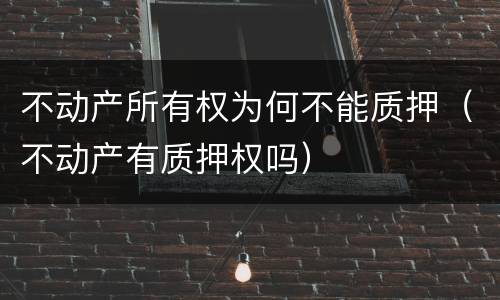 不动产所有权为何不能质押（不动产有质押权吗）