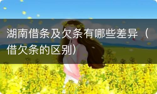 湖南借条及欠条有哪些差异（借欠条的区别）