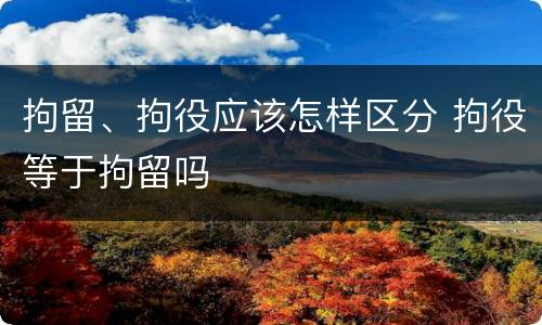 拘留、拘役应该怎样区分 拘役等于拘留吗