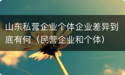 山东私营企业个体企业差异到底有何（民营企业和个体）