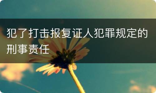犯了打击报复证人犯罪规定的刑事责任