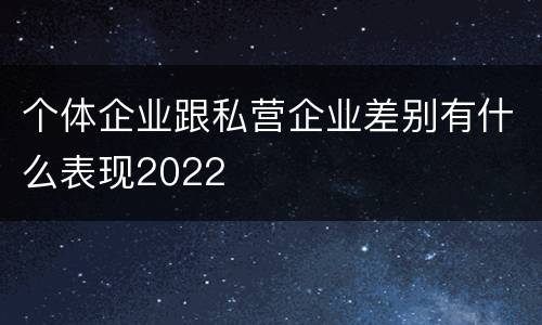 个体企业跟私营企业差别有什么表现2022