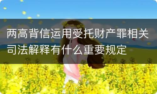 两高背信运用受托财产罪相关司法解释有什么重要规定