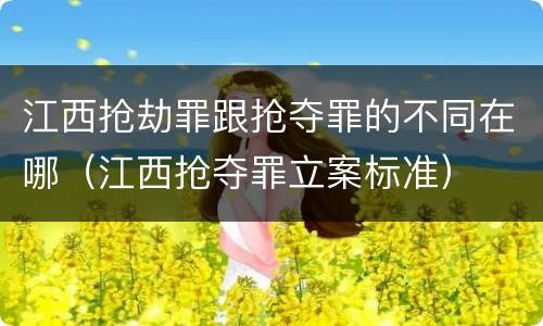 江西抢劫罪跟抢夺罪的不同在哪（江西抢夺罪立案标准）