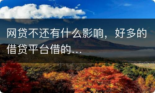 网贷不还有什么影响，好多的借贷平台借的…