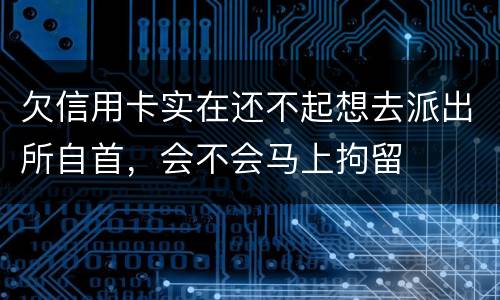 欠信用卡实在还不起想去派出所自首，会不会马上拘留