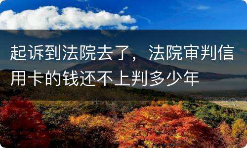 起诉到法院去了，法院审判信用卡的钱还不上判多少年