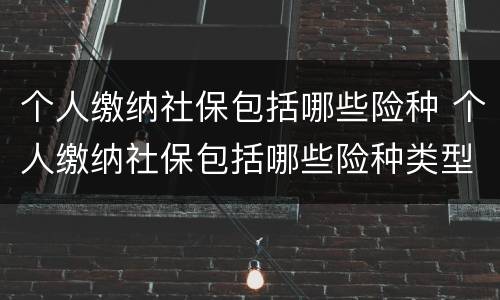 个人缴纳社保包括哪些险种 个人缴纳社保包括哪些险种类型