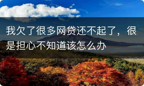 我欠了很多网贷还不起了，很是担心不知道该怎么办