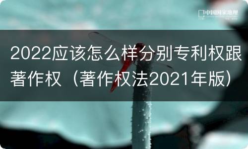 2022应该怎么样分别专利权跟著作权（著作权法2021年版）