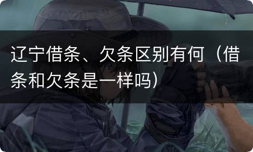 辽宁借条、欠条区别有何（借条和欠条是一样吗）