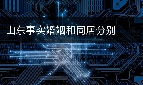 山东事实婚姻和同居分别