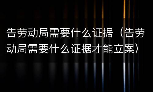 告劳动局需要什么证据（告劳动局需要什么证据才能立案）