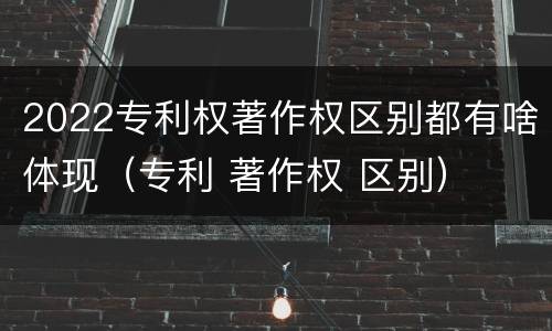 2022专利权著作权区别都有啥体现（专利 著作权 区别）