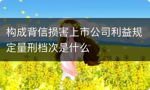 构成背信损害上市公司利益规定量刑档次是什么