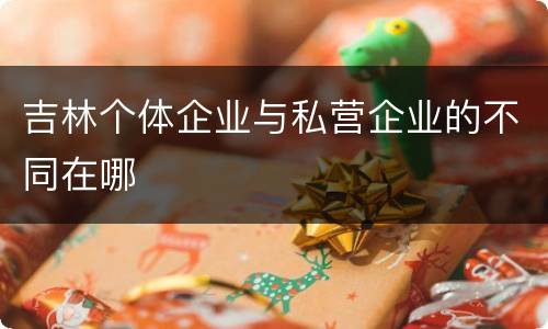 吉林个体企业与私营企业的不同在哪