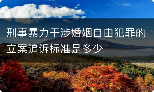 刑事暴力干涉婚姻自由犯罪的立案追诉标准是多少