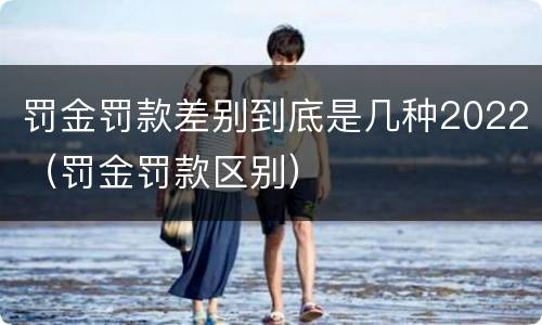 罚金罚款差别到底是几种2022（罚金罚款区别）