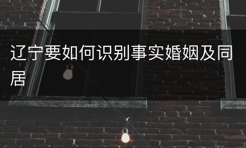 辽宁要如何识别事实婚姻及同居