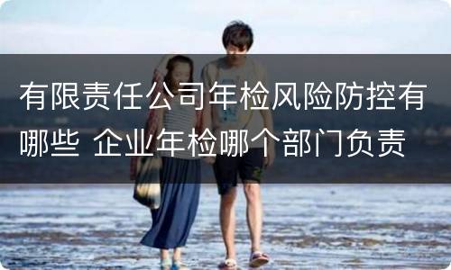 有限责任公司年检风险防控有哪些 企业年检哪个部门负责