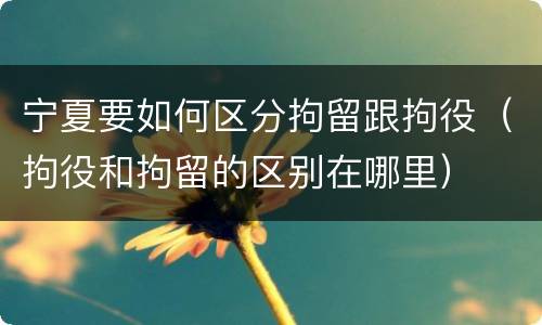 宁夏要如何区分拘留跟拘役（拘役和拘留的区别在哪里）