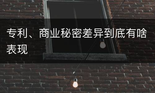 专利、商业秘密差异到底有啥表现