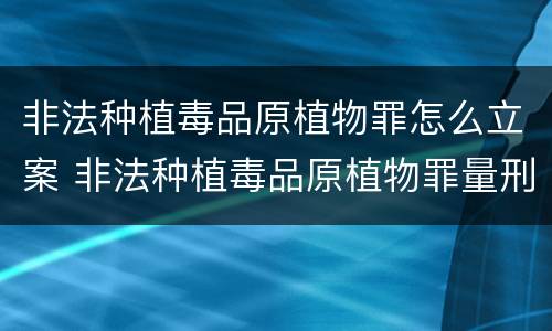 非法种植毒品原植物罪怎么立案 非法种植毒品原植物罪量刑