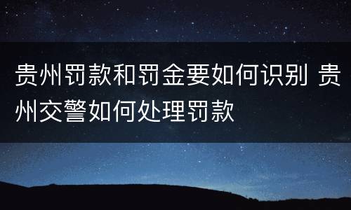 贵州罚款和罚金要如何识别 贵州交警如何处理罚款