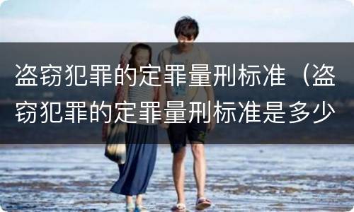 盗窃犯罪的定罪量刑标准（盗窃犯罪的定罪量刑标准是多少）