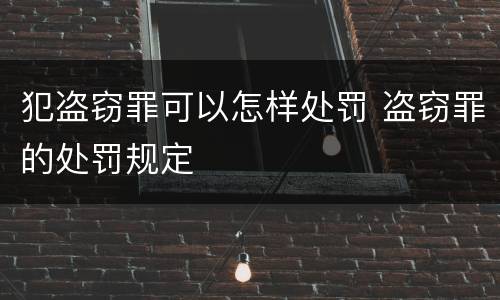 犯盗窃罪可以怎样处罚 盗窃罪的处罚规定