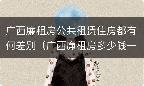 广西廉租房公共租赁住房都有何差别（广西廉租房多少钱一个月）