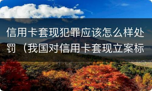 信用卡套现犯罪应该怎么样处罚（我国对信用卡套现立案标准）