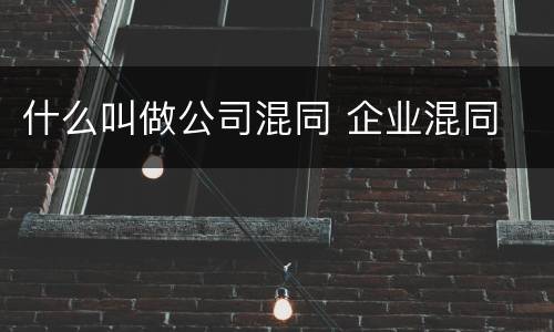 什么叫做公司混同 企业混同