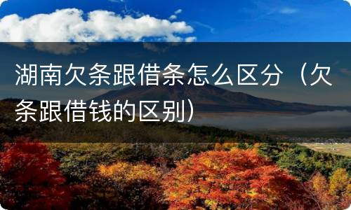湖南欠条跟借条怎么区分（欠条跟借钱的区别）