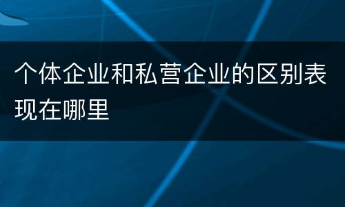个体企业和私营企业的区别表现在哪里