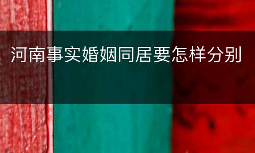 河南事实婚姻同居要怎样分别