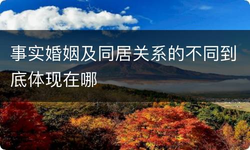 事实婚姻及同居关系的不同到底体现在哪