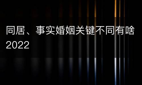 同居、事实婚姻关键不同有啥2022