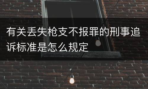 有关丢失枪支不报罪的刑事追诉标准是怎么规定
