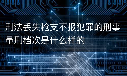 刑法丢失枪支不报犯罪的刑事量刑档次是什么样的