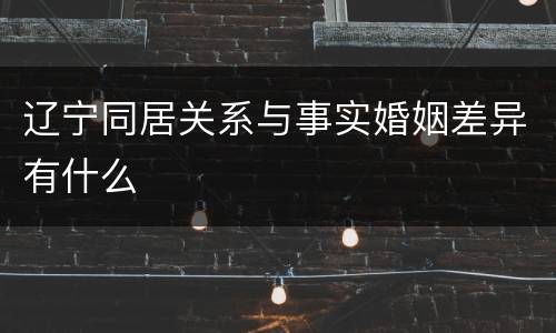 辽宁同居关系与事实婚姻差异有什么