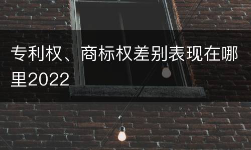 专利权、商标权差别表现在哪里2022