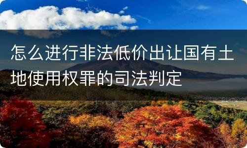 怎么进行非法低价出让国有土地使用权罪的司法判定