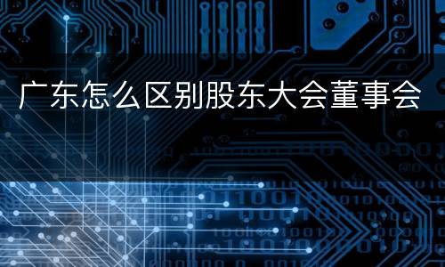 广东怎么区别股东大会董事会