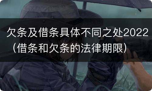 欠条及借条具体不同之处2022（借条和欠条的法律期限）