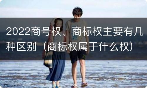 2022商号权、商标权主要有几种区别（商标权属于什么权）