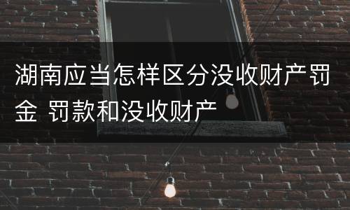 湖南应当怎样区分没收财产罚金 罚款和没收财产